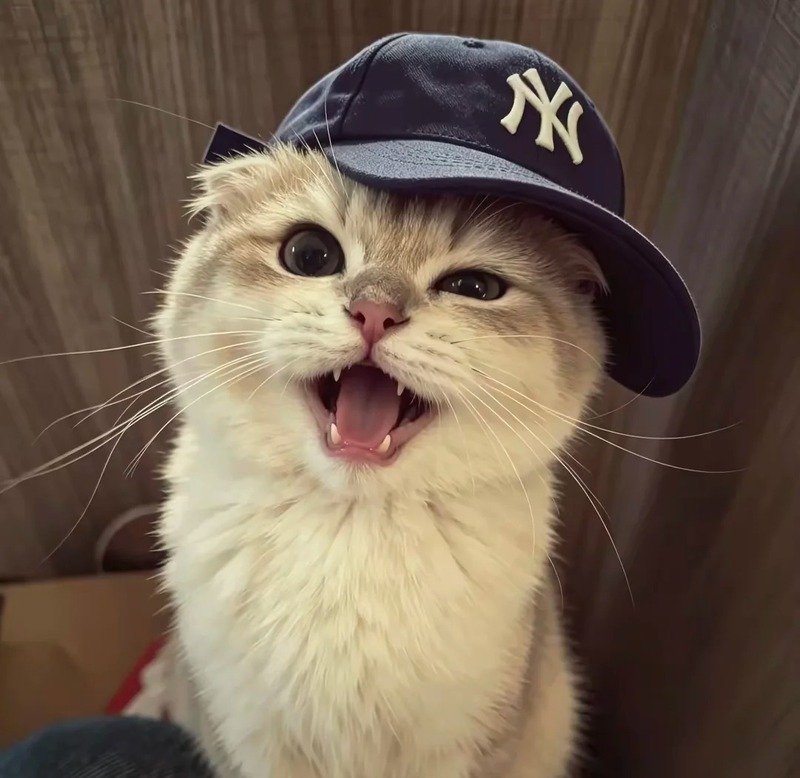 avatar con vật cute 3