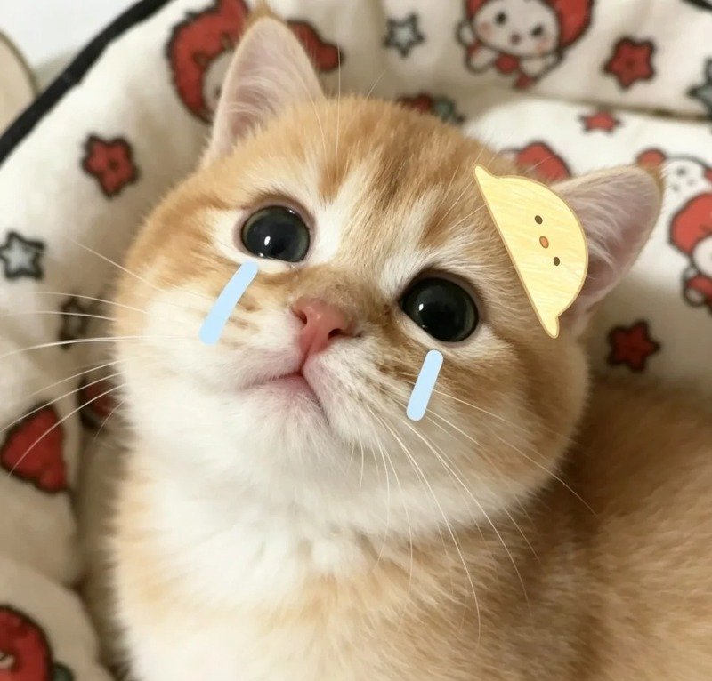 avatar con vật cute 31