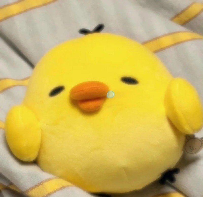 avatar gà cute 1