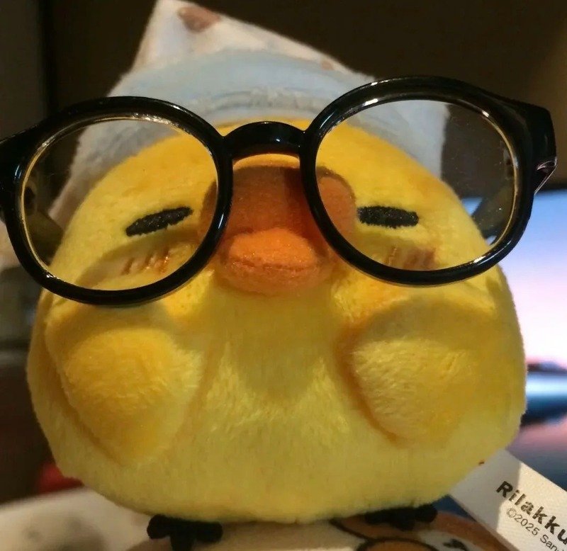 avatar gà cute 13