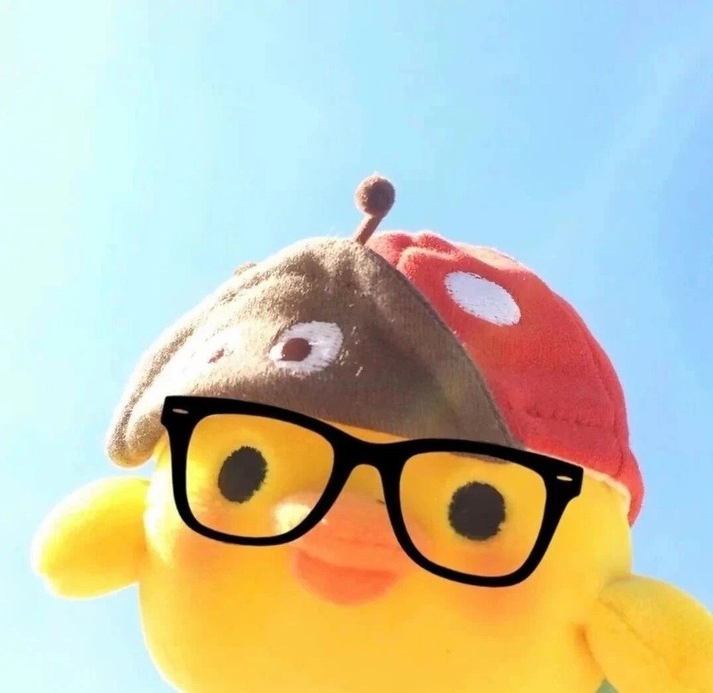 avatar gà cute 17