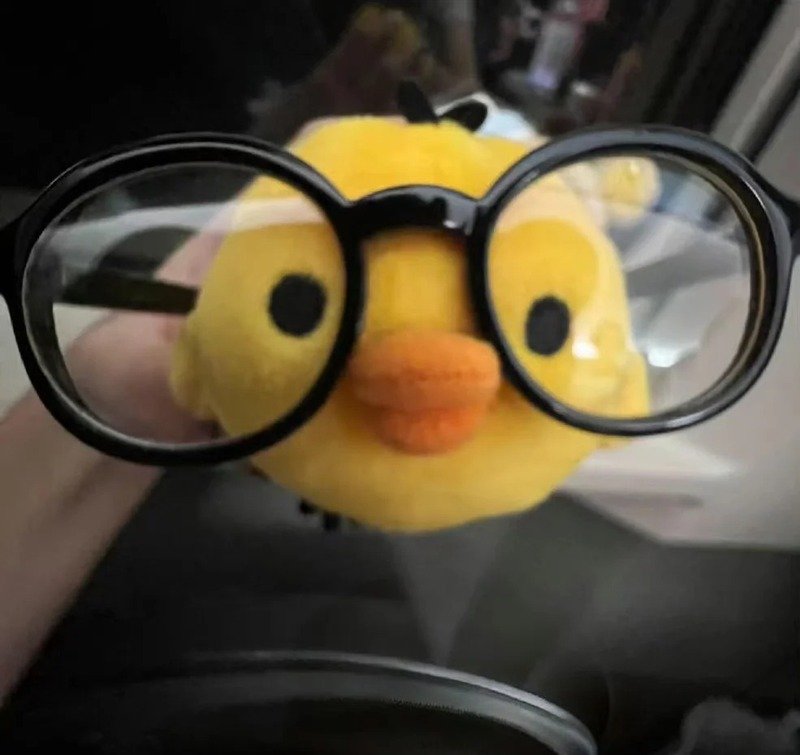 avatar gà cute 33