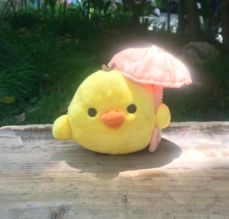 avatar gà cute 36