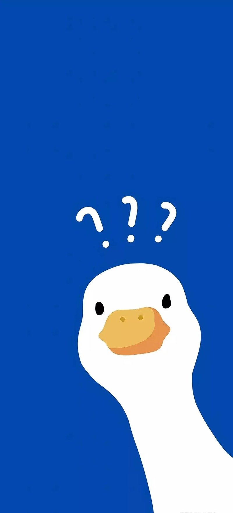 avatar vịt trắng cute 12