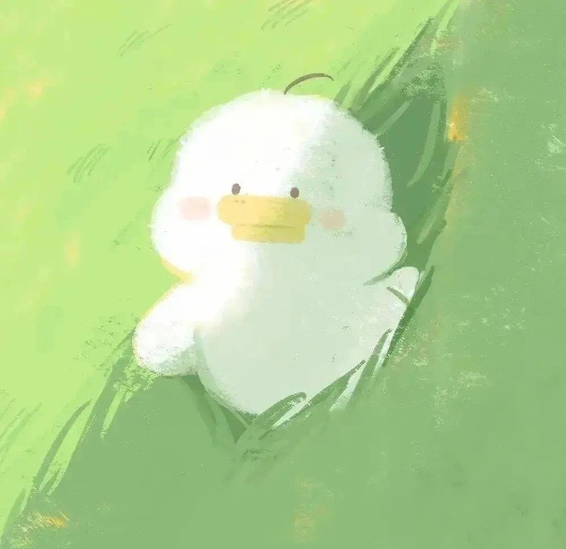 avatar vịt trắng cute 15